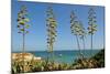 Coast of the Algarve-Jose Eusebio-Mounted Photographic Print