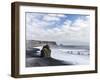 Coast of the North Atlantic Near Vik Y Myrdal During a Winter Storm-Martin Zwick-Framed Premium Photographic Print