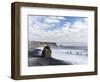 Coast of the North Atlantic Near Vik Y Myrdal During a Winter Storm-Martin Zwick-Framed Photographic Print