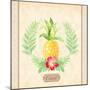 Coast Pineapple-Lanie Loreth-Mounted Art Print