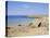 Coast, Quiberon, Cote Sauvage, Brittany, France, Europe-Firecrest Pictures-Stretched Canvas