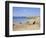 Coast, Quiberon, Cote Sauvage, Brittany, France, Europe-Firecrest Pictures-Framed Photographic Print