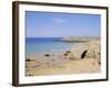 Coast, Quiberon, Cote Sauvage, Brittany, France, Europe-Firecrest Pictures-Framed Photographic Print