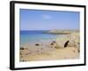 Coast, Quiberon, Cote Sauvage, Brittany, France, Europe-Firecrest Pictures-Framed Photographic Print