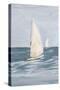 Coast Sailing II-Julie DeRice-Stretched Canvas