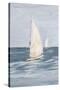 Coast Sailing II-Julie DeRice-Stretched Canvas