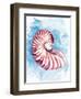 Coast Shell Pastel 1-Kimberly Allen-Framed Art Print