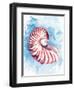 Coast Shell Pastel 1-Kimberly Allen-Framed Art Print