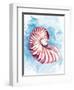 Coast Shell Pastel 1-Kimberly Allen-Framed Art Print