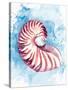 Coast Shell Pastel 1-Kimberly Allen-Stretched Canvas