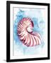 Coast Shell Pastel 1-Kimberly Allen-Framed Art Print