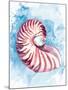 Coast Shell Pastel 1-Kimberly Allen-Mounted Art Print