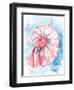 Coast Shell Pastel 2-Kimberly Allen-Framed Art Print