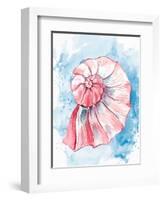 Coast Shell Pastel 2-Kimberly Allen-Framed Art Print