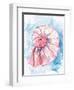 Coast Shell Pastel 2-Kimberly Allen-Framed Art Print