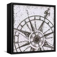 Coast to Coast I BW No Words-Daphne Brissonnet-Framed Stretched Canvas