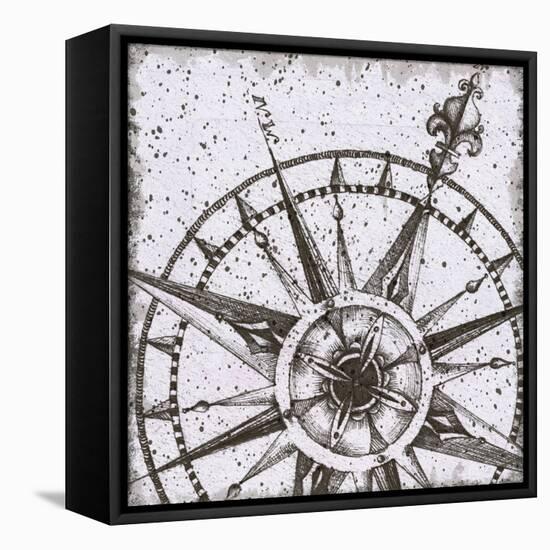 Coast to Coast I BW No Words-Daphne Brissonnet-Framed Stretched Canvas