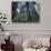 Coast Trail, Redwoods and Rhododendrons, Del Norte Coast State Park, California, USA-Jamie & Judy Wild-Photographic Print displayed on a wall