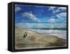 Coastal 1-Sheldon Lewis-Framed Stretched Canvas