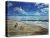 Coastal 1-Sheldon Lewis-Stretched Canvas