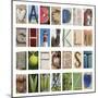 Coastal Alphabet-Mike Toy-Mounted Giclee Print