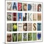 Coastal Alphabet-Mike Toy-Mounted Giclee Print