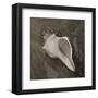 Coastal Antique-Erin Clark-Framed Art Print