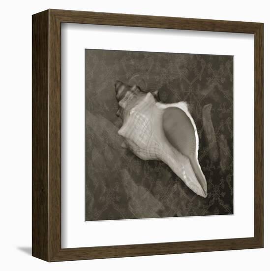 Coastal Antique-Erin Clark-Framed Art Print