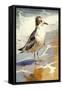 Coastal Beach Bird II-Vivienne Dupont-Framed Stretched Canvas