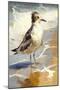 Coastal Beach Bird II-Vivienne Dupont-Mounted Art Print