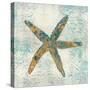 Coastal Beauty I-Sarah Mousseau-Stretched Canvas