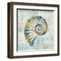 Coastal Beauty II-Sarah Mousseau-Framed Art Print