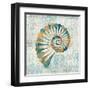 Coastal Beauty II-Sarah Mousseau-Framed Art Print