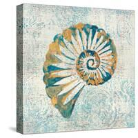 Coastal Beauty II-Sarah Mousseau-Stretched Canvas