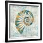 Coastal Beauty II-Sarah Mousseau-Framed Art Print