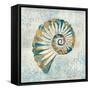 Coastal Beauty II-Sarah Mousseau-Framed Stretched Canvas