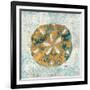 Coastal Beauty III-Sarah Mousseau-Framed Art Print