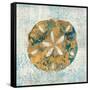 Coastal Beauty III-Sarah Mousseau-Framed Stretched Canvas