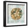 Coastal Beauty III-Sarah Mousseau-Framed Art Print