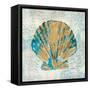 Coastal Beauty IV-Sarah Mousseau-Framed Stretched Canvas