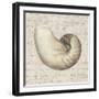 Coastal Beauty IV-Lisa Audit-Framed Giclee Print