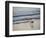 Coastal Bird, Morro Bay Coast-Anna Miller-Framed Photographic Print