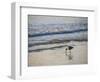 Coastal Bird, Morro Bay Coast-Anna Miller-Framed Photographic Print