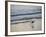 Coastal Bird, Morro Bay Coast-Anna Miller-Framed Photographic Print