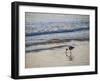 Coastal Bird, Morro Bay Coast-Anna Miller-Framed Photographic Print