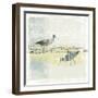 Coastal Birds I-Ken Hurd-Framed Giclee Print