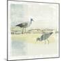 Coastal Birds I-Ken Hurd-Mounted Giclee Print