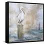 Coastal Birds I-Paula Giltner-Framed Stretched Canvas