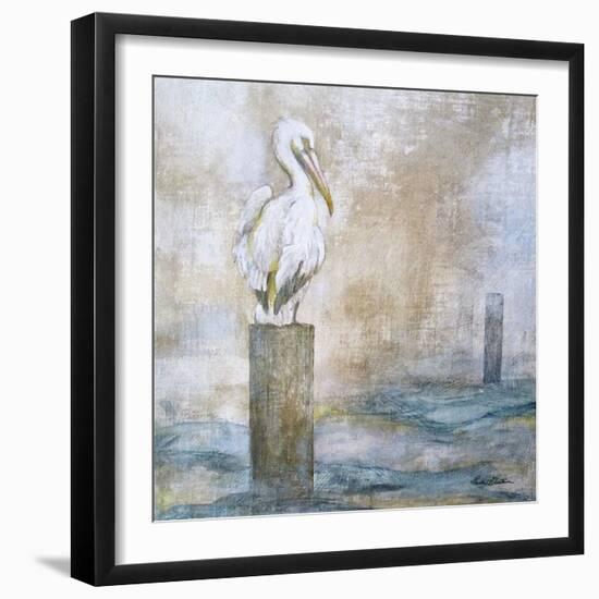 Coastal Birds I-Paula Giltner-Framed Art Print