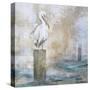 Coastal Birds I-Paula Giltner-Stretched Canvas